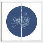 Kunst Edition Fineart