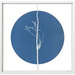 Kunstwerk Dust Flower